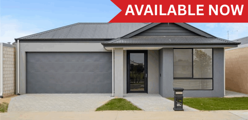 Butterleaf Baldivis
