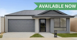 4×3 House – Baldivis